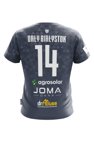 Orły Białystok Koszulka Męska szara tył.png