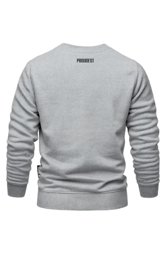 Bluza BAS Białystok klasyczna szara Tył.png
