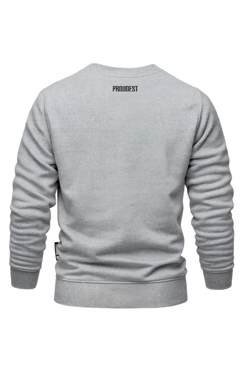 Bluza BAS Białystok klasyczna szara Tył.png