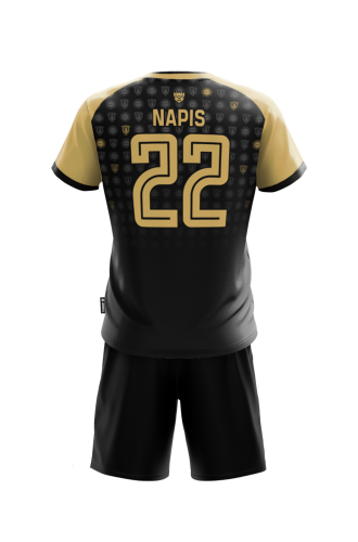 Komplet sportowy Elite Volley męski Tył.png