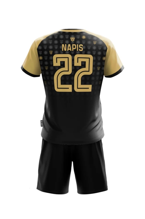 Komplet sportowy Elite Volley męski Tył.png