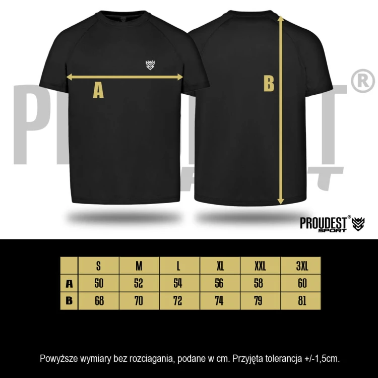 koszulka-sportowa-meska-reglan-rozmiarowka-SPORT-kopia.webp